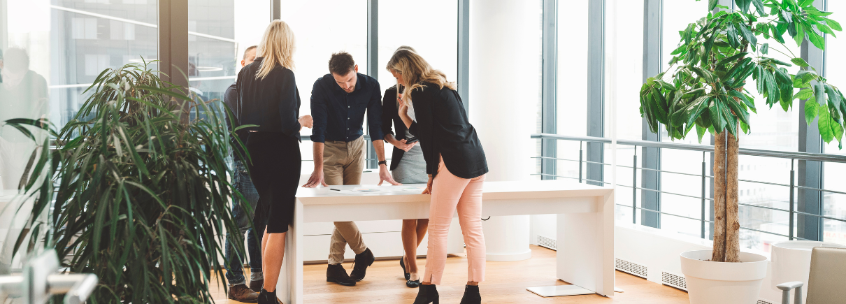 Support Regeneration